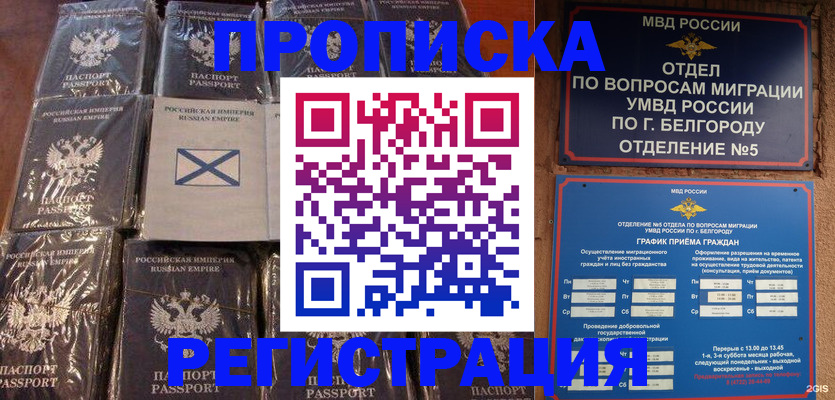 прописка гарантия в Черняховске